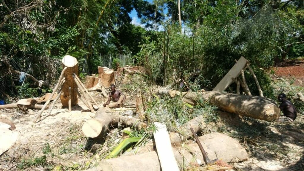 Family Members Seal Malamulo Mission Guesthouse in Land Dispute in Thyolo