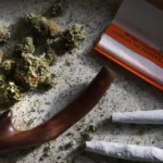 Mzimba Court Fines Three Over Illegal Cultivation and Possession of Chamba