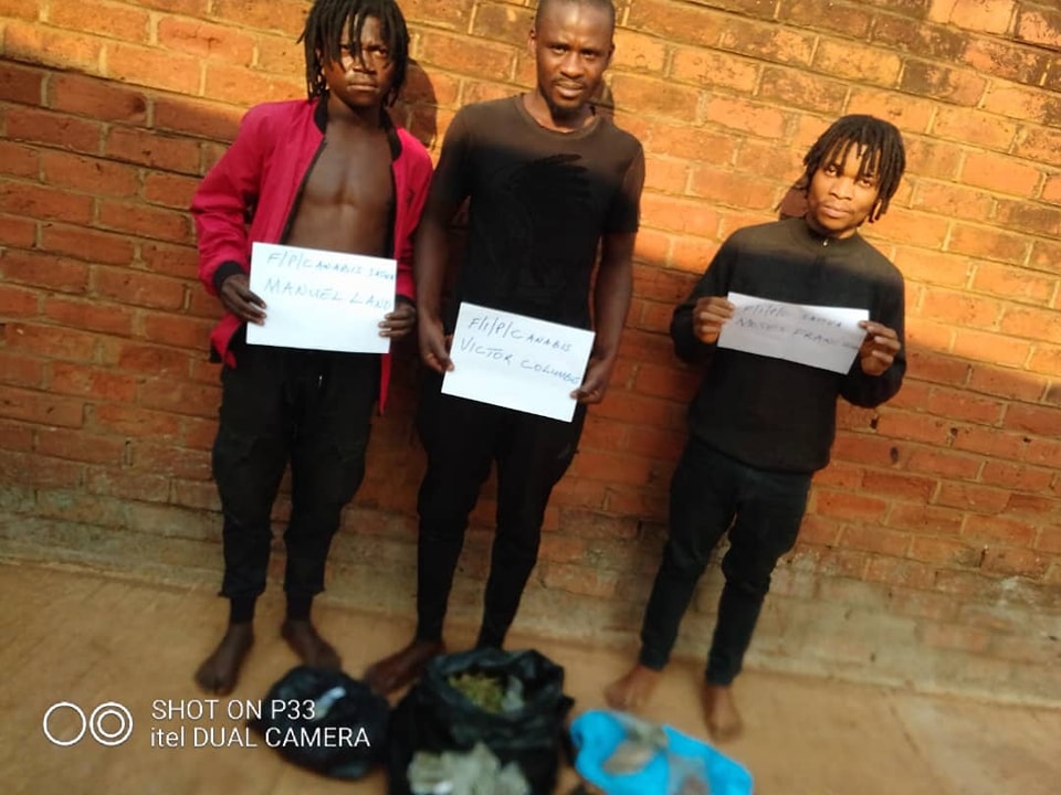 3 Nabbed For Possessing Cannabis Sativa In Lilongwe