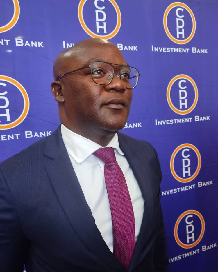 Thoko Mkavea appointed as CEO of CDH Investment Bank