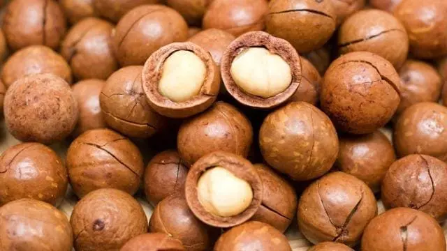 14 In For Stealing Macadamia Nuts In Chiradzulu