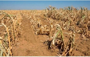 Drought Hits Zambia, President Declares National Disaster