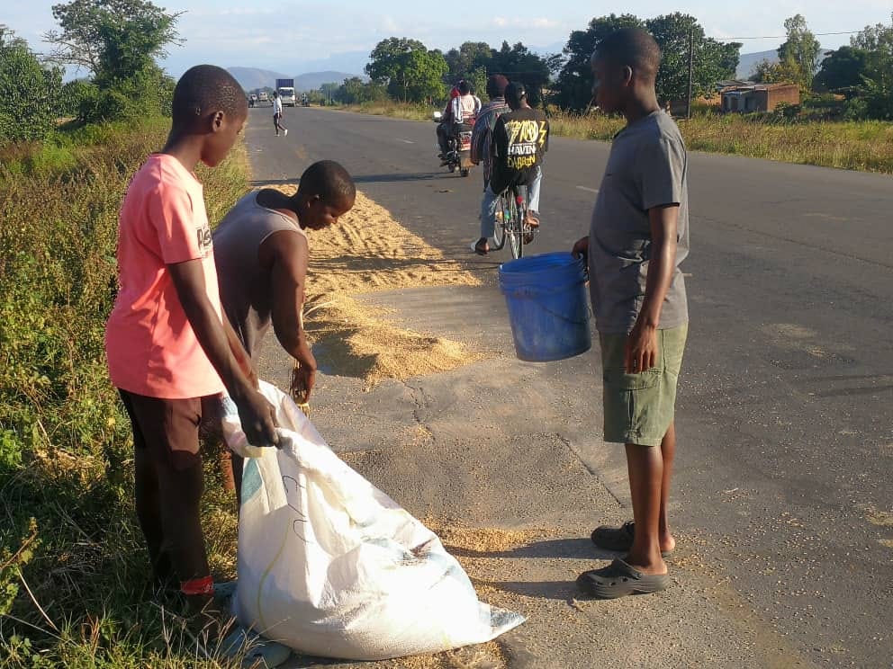 Karonga farmers advised to stop drying rice on M1 Road