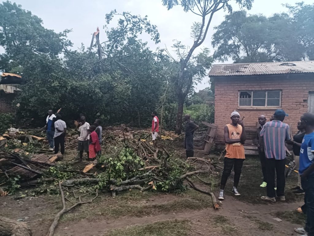 9 People injured by a falling tree in Karonga