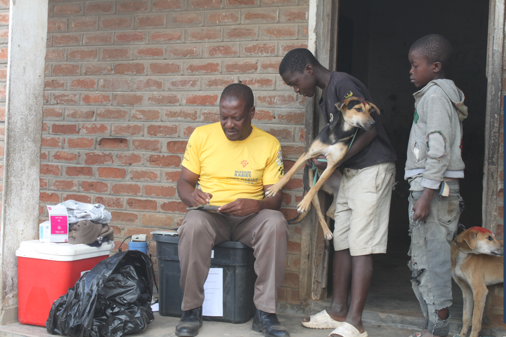 Rabies vaccination campaign starts on high note in Blantyre