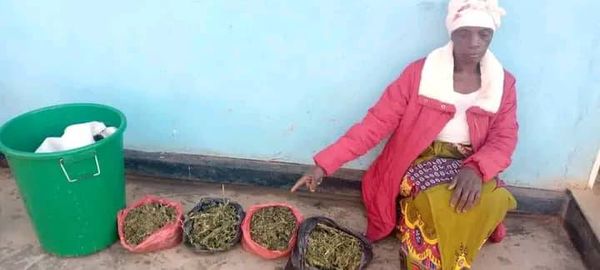 Police in Mchinji Arrest Two Women for Dealing with Marijuana