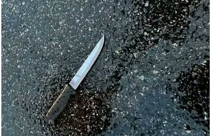 South African Police Officer Accused Of Fatally Stabbing Wife Denied Bail By Court