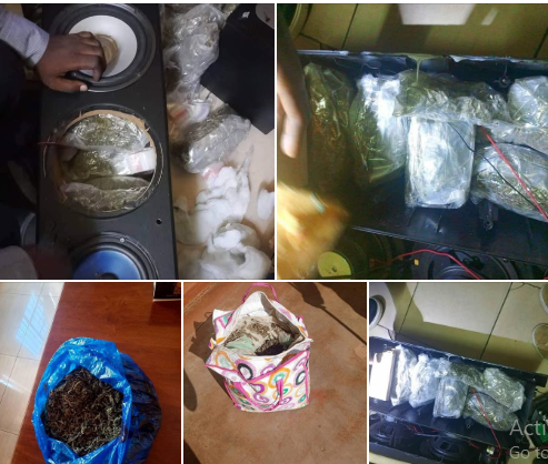 Tanzanian National and Others Arrested in Major Drvg Trafficking Operations Across Zambia