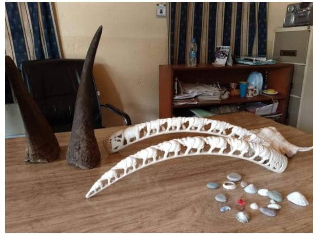 Blantyre Court Sets Date for Ruling on Illegal Wildlife Trade Case Involving Six Suspects