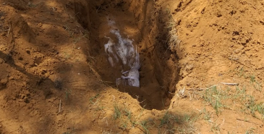 2 Malawian Businesswomen Found Dead in a Shallow Grave in Zambia