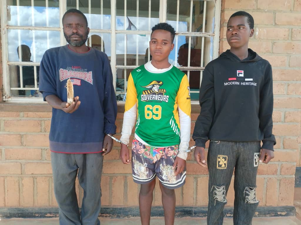 3 Arrested for illegal Possession of Hippo Ivory in Mzimba