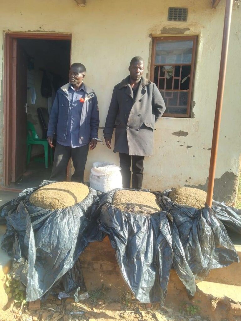 Two Men Arrested for Possession of Indian Hemp in Lilongwe