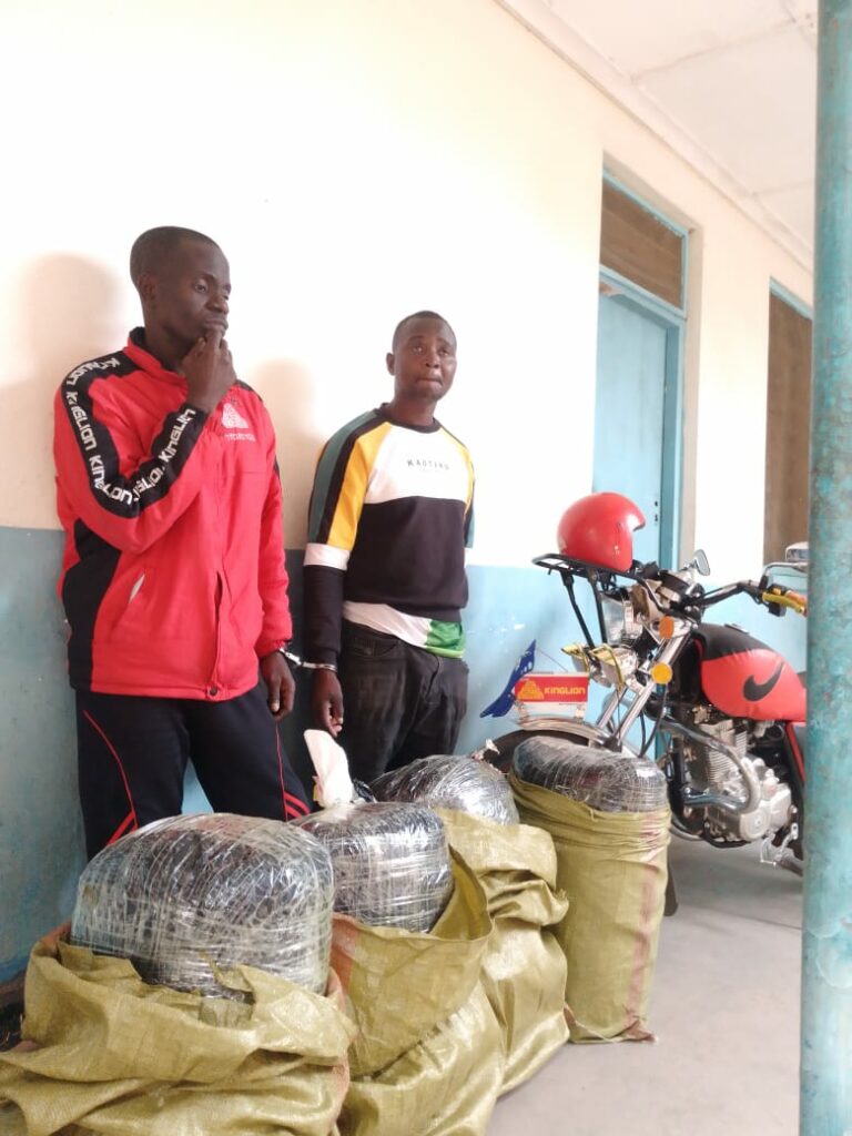 Two Arrested in Karonga for Possessing 100kg of Cannabis