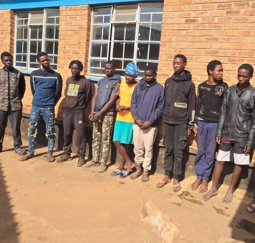 Police arrest 11 over criminal activities in Mzuzu