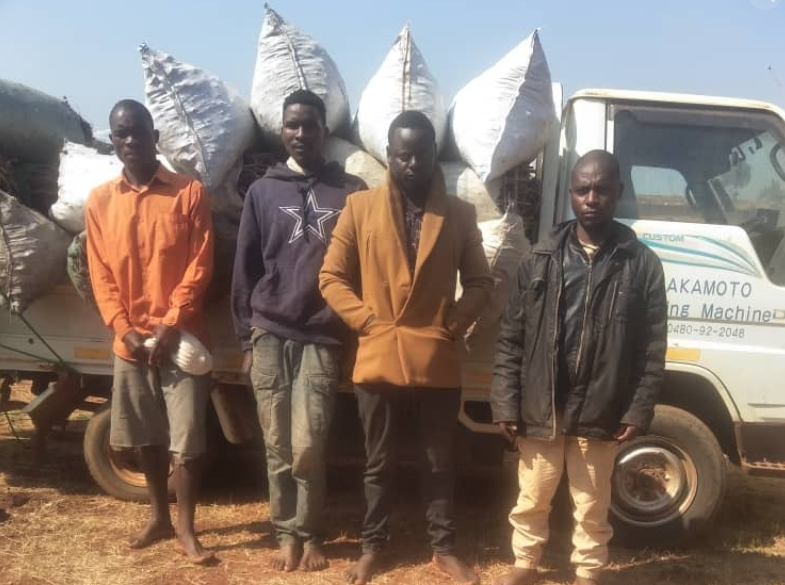 Four Men Arrested in Mzimba for Trafficking 60 Bags of Charcoal
