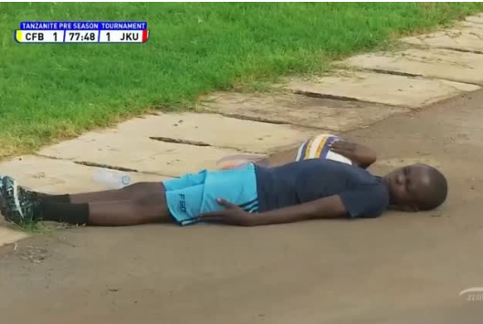 Drama in Tanzania as match is temporary stopped after bees flew over the pitch (Watch Video)
