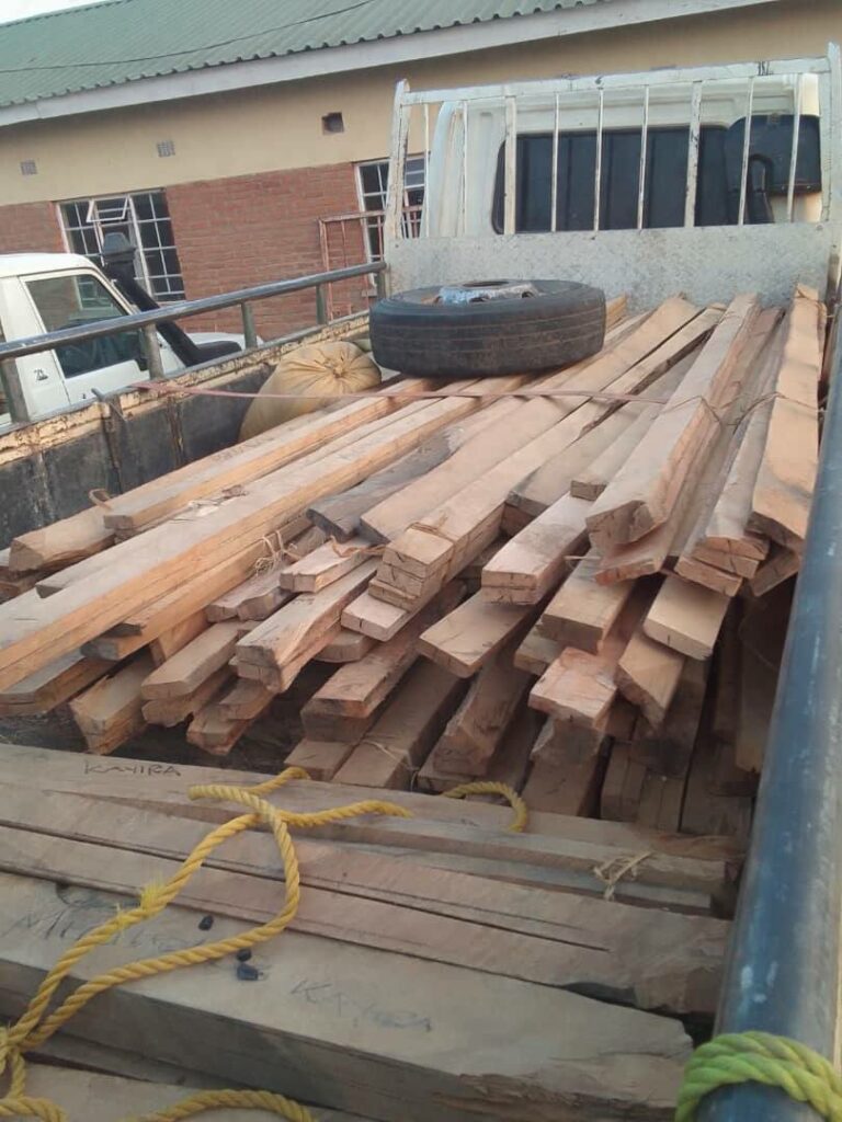 Three Arrested in Chitipa for Illegal Possession of Hardwood Timber