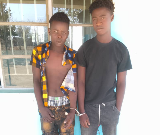 Two Young Men Arrested in Phalombe Over Alleged Cattle Theft
