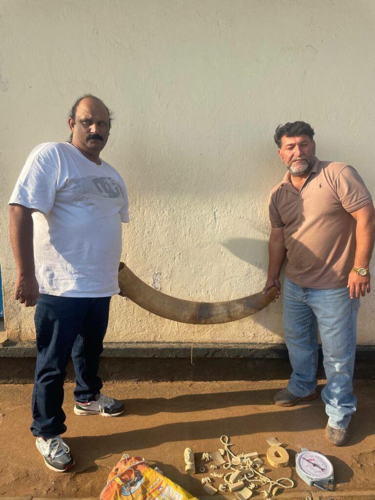 Two Pakistani Nationals Arrested in Mzuzu for Possession of Ivory