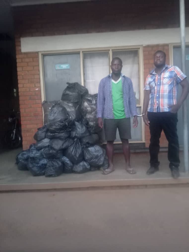 Two Men Arrested in Ntcheu for Possession of 100kg of Cannabis