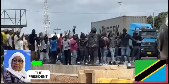 Tanzania Votes in Seventh Multiparty Election Amid Opposition Boycott and Protests