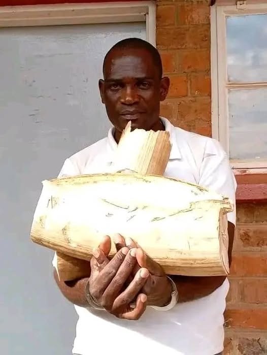 Man Sentenced to 8 Years for Possession of Ivory in Rumphi