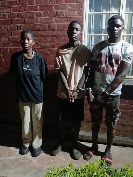 Woman, Children Arrested for Husband’s Killing In Mzuzu, Body Found Decomposed