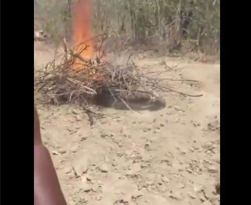 Man with Mental Health Condition Killed by Mob in Ntchisi