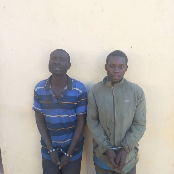 Two Men Jailed for Killing Protected Animals in Nyika National Park