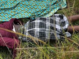 12 Year-old Girl Murd3red After Being Def!led By Unknown People in Zambia