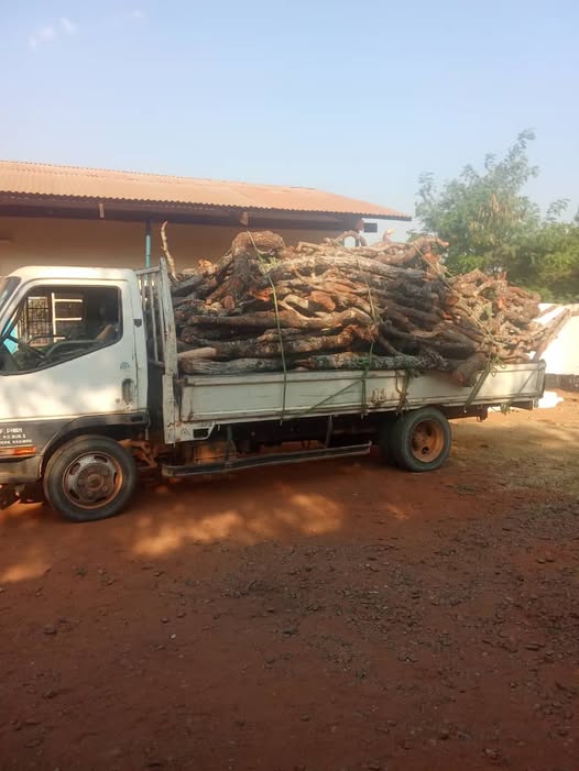 Four Arrested in Kasungu for Illegal Logging in National Park