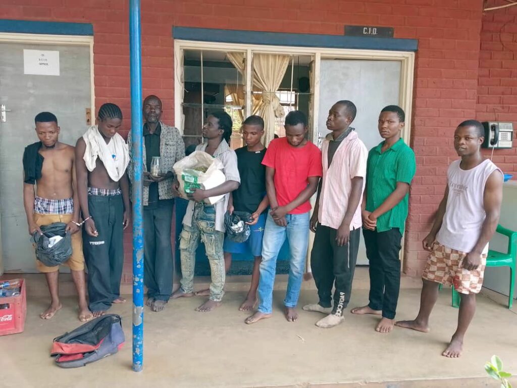 16 Arrested for Petrol Heist, Burglaries, Housebreaking, Fraud & Illegal Weed in Balaka