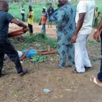 Woman Dies After Falling from Mango Tree in Balaka