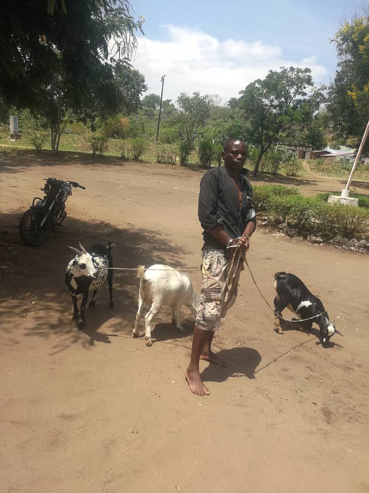 Golomoti Butcherman Arrested for Suspected Goat Theft