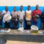 Kasungu Police Arrest Seven for Possession of 50kg of Marijuana