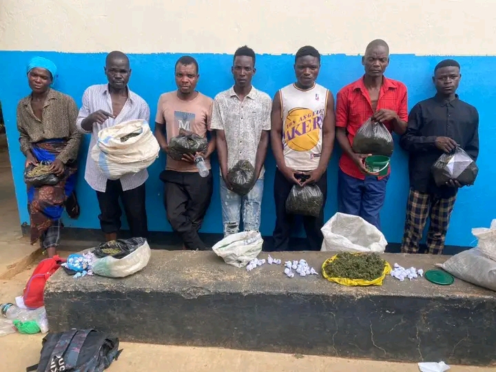 Kasungu Police Arrest Seven for Possession of 50kg of Marijuana