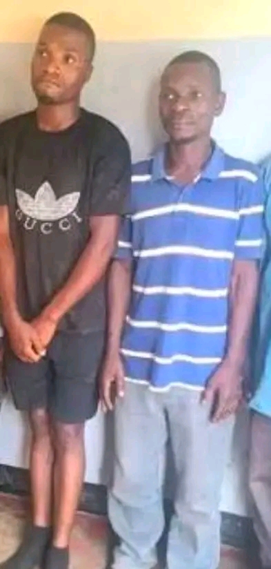 Two Arrested Over Phone Theft Trick in Blantyre