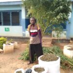 Man Arrested in Chitipa Over Illegal Cannabis Cultivation