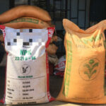 Man Arrested Over Suspected Counterfeit Fertiliser in Mchinji