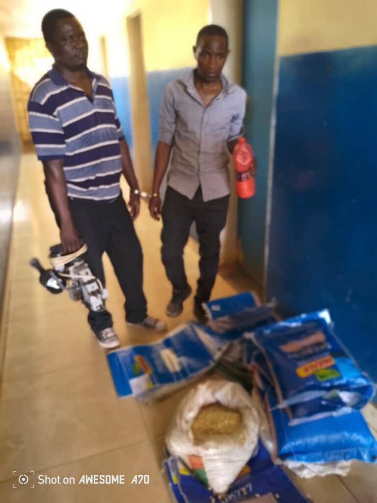 Two Arrested in Mzuzu for Selling Fake Maize Seed to Farmers