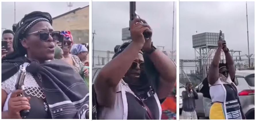 Firearm Video Puts Bitou Deputy Mayor Under Spotlight