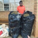 Police in Jenda Arrest Man with 87 Kilograms of Cannabis