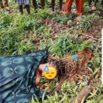 Woman Found Stripped and Brutally Murdered in Rumphi District