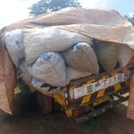 Police Impound Lorry, Arrest Two Over Charcoal in Rumphi