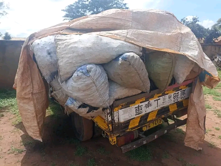 Police Impound Lorry, Arrest Two Over Charcoal in Rumphi