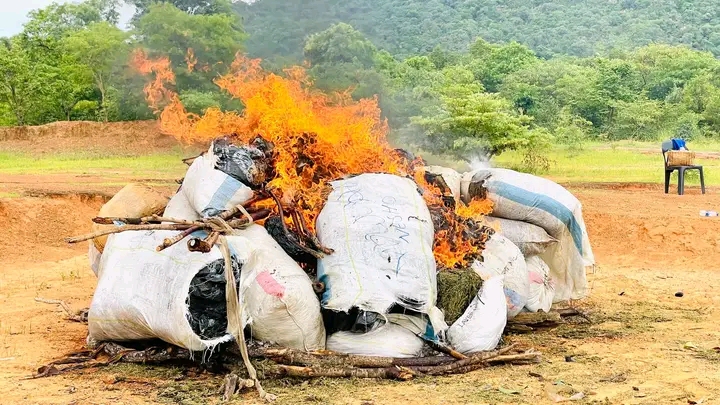 Police Burn Seized Cannabis in Salima
