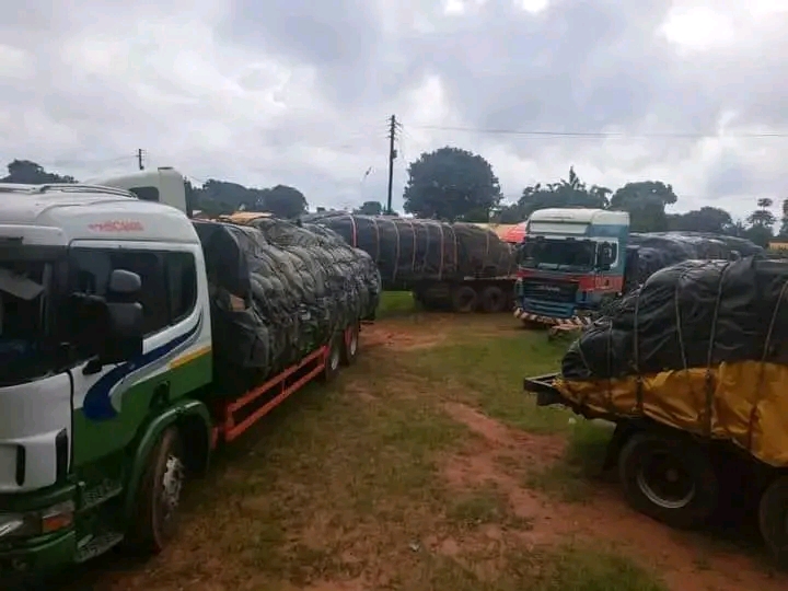 Three Arrested in Mchinji Over Attempted Maize Smuggling to Zambia