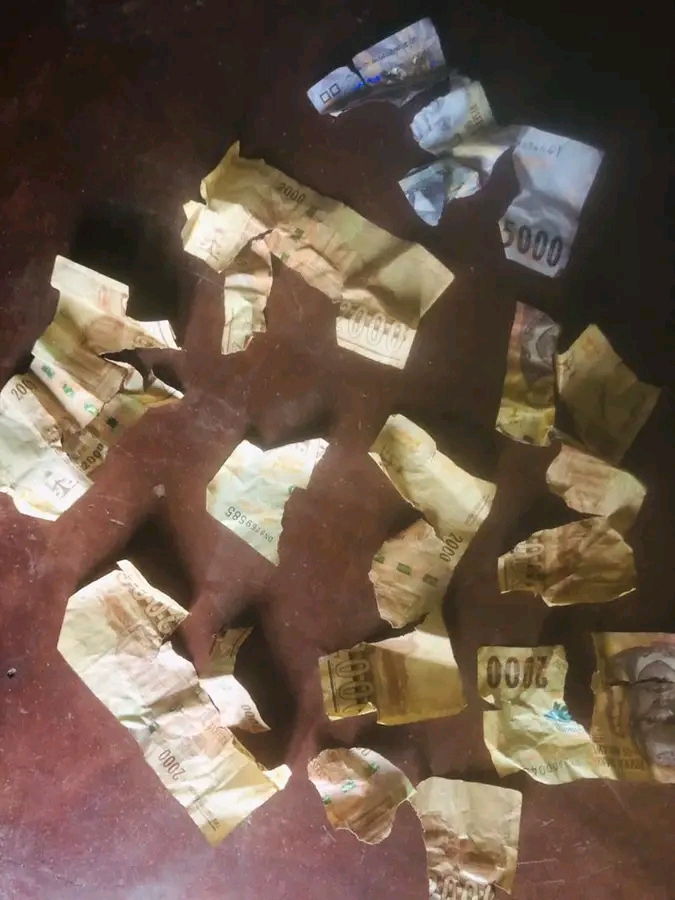 Salima Police Arrest 28-Year-Old for Tearing Banknotes