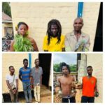 Eight Arrested in Zomba for Illegal Petrol Sales and Cannabis Cultivation