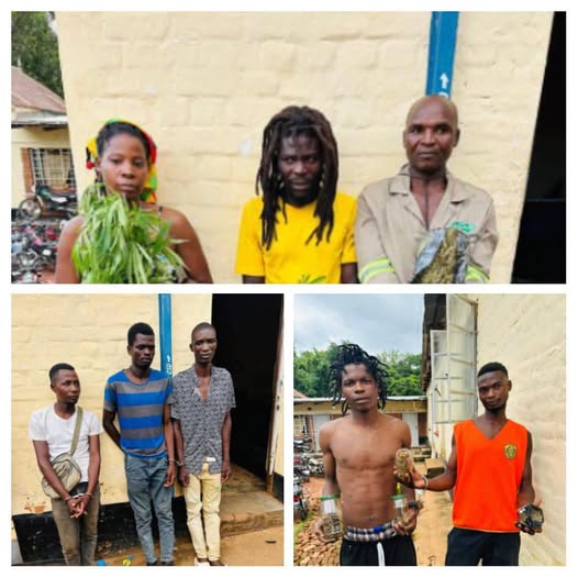 Eight Arrested in Zomba for Illegal Petrol Sales and Cannabis Cultivation